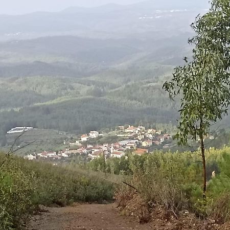 Apartament Casa Xara Proença-a-Nova Zewnętrze zdjęcie